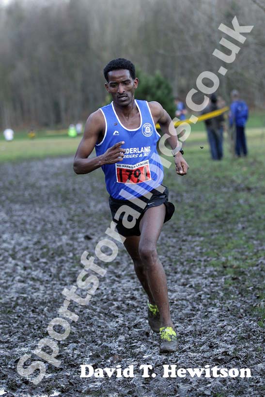 Eritrean athlete Weynay Ghebresilasie running for Sunderland Harriers on his way to third place in the Start First North East Harrier League, Jarrow.
